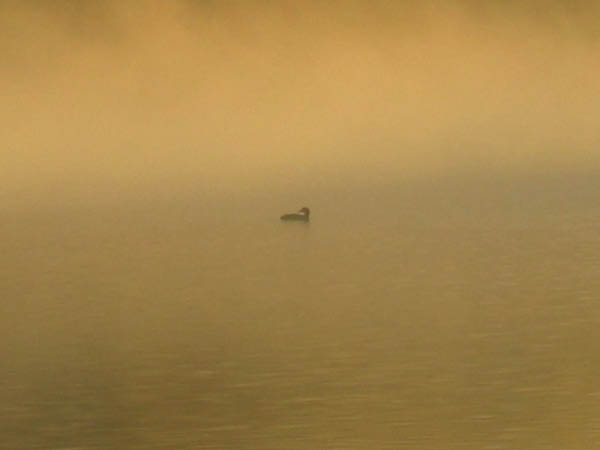 IMG_8443