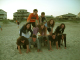 DSCN0022