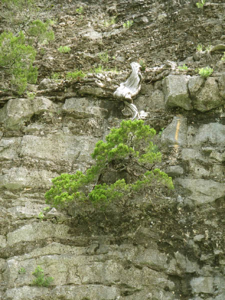 img_8788_r1